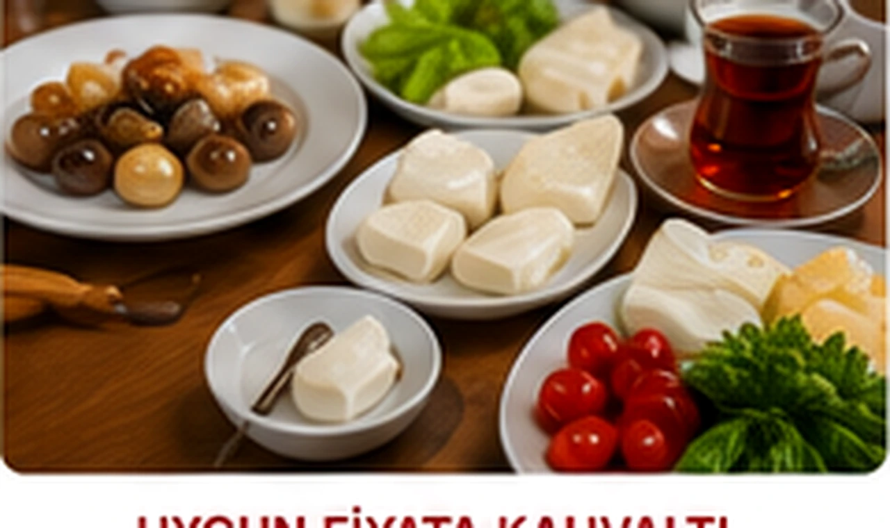 Bir Gecelik Konaklama İçin Ekonomik Pansiyon Rehberi